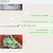 Industrial Vegetable Cutting Machine Fruit And Vegetable Cutting Machine Vegetable Cutter Price thumbnail-5