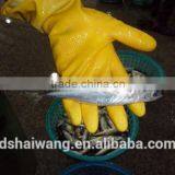 Frozen Pacific Mackerel for Sale With Size - 80g thumbnail-4