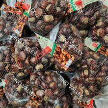 China Authentic Taishan Organic Fresh Chestnut Nutritious Sweet With NOP HALAL HACCP KOSHER Chinese Exporter Wholesale thumbnail-1