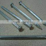 Steel Concrete Nail