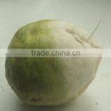 Onion/Carrot/Cucumber/Eggplant/Ginger/Apple/Pear Cube Dicing Machine thumbnail-4