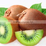 Best fresh kiwi fruit price in China