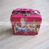 Girl's Lovely Carry Mental Box