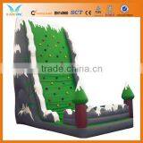 Plastic Kids Rock Climbing Wall