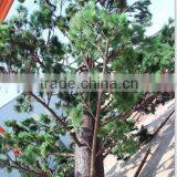 Camouflaged Communication Pine Tree Tower/pine Tree thumbnail-2