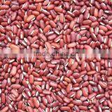 Bamboo Bean thumbnail-1