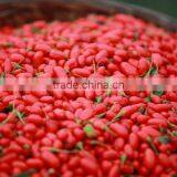 Dried Goji Berry/organic Goji Berry thumbnail-5