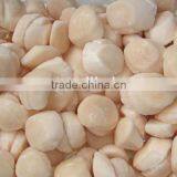 Frozen Sea Scallop Shell Meat for Sale