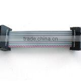10 Pin IDC Short Cable