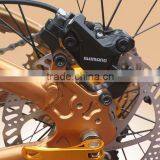 Rounded Modern Design Q7 20' Snow Electric Ski Bike Packing High Speed thumbnail-2