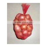 Red Shallot Onion thumbnail-1