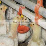 Automatic Chicken Broiler Poultry Drinking System thumbnail-2