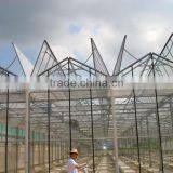 Greenhouse Hydroponics System Vertical for Tomato thumbnail-5
