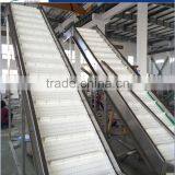 GP-I Pre-treatment Production Line for Quick Frozen Vegetable thumbnail-4