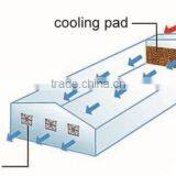 Galvanized Steel Frame Large Glass Agricultural Greenhouses thumbnail-5