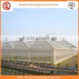 Agriculture Equipment Multi-span 10.8m Plastic PE Film Agriculture Greenhouse for Popular Sale thumbnail-3