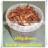 Drum (200g) Freeze Dried Locusts ;Freeze Dried Locusts For Pet Bird thumbnail-1