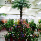 Factory Direct High Quality Palm Tree With Cheap Price Palm Tree for Shopping Mall Decoration thumbnail-2