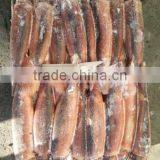 Frozen Illex Argentinus Squid thumbnail-3