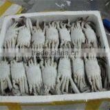 Seafood and Iqf Frozen Cut Crab thumbnail-1