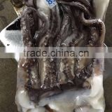 Raw clean fresh Vietnam squid meat with large stock
