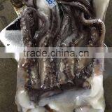 Raw Clean Fresh Vietnam Squid Meat With Large Stock thumbnail-1