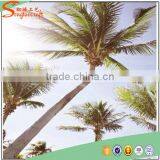 Wholesale Outdoor Artificial Green Plant Artificial Plant Cheap Tropical Plants Decor