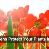 Hebei Lauren Agriculture Technology Co., Ltd company overview - view 3 thumbnail