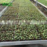 New Galvanized Fence Mesh Wire Netting Seedling Nets For Glass Greenhouse thumbnail-6