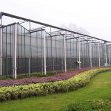 Commercial Multispan Polycarbonate Sheet Covering Greenhouse