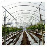 High Quality Cheap Price Agricultural Indoor Solar Greenhouse Frame With Plastic Sheet Tent thumbnail-5