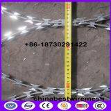 450mm Coil Diameter BTO-22 Razor Wire Flat Wrap Coils On Fence Top thumbnail-3
