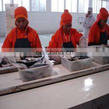 Shanghai Genyond Canned Fish in Oil Processing Plant thumbnail-4