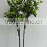 Indoor or Outdoor Artificial Podocarpus