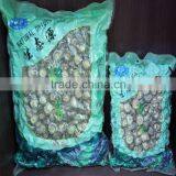 Smooth Dried Shiitake Mushroom 1KG With Stem