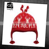 Crochet Knit Winter Hat Children Hat With Animal Designs Knit Hat