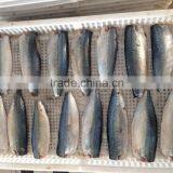 Best Price Frozen Mackerel Fillet
