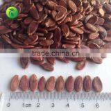 Chinese Watermelon Seed Wholesaler China Supplier thumbnail-1