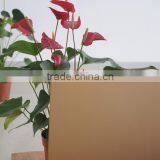 5mm Tempered Silkscreen Printing Glass Bronze With AS/NZS2208:1996, BS6206, EN12150 Certificate thumbnail-1