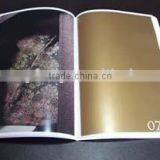 Saddle Binding Brochure Printing