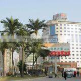 Artificial Coconut Palm Tree for Outdoor Coconut Tree