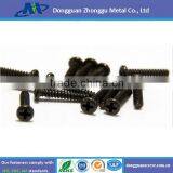 Cross recessed pan head self tapping screws wholesale in Dongguan