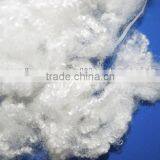 Polyester Staple Fiber 2D