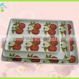 Beautiful Colorful Melamine Tray thumbnail-1