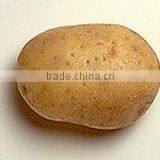 Potato thumbnail-1