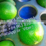 Fresh Lemon High Quality Seedless Gimex 2015 thumbnail-1
