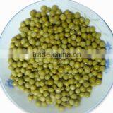 Canned Green Peas With Haccp Certified Products thumbnail-1