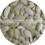 New Crop Shine Skin Pumpkin Seeds thumbnail-1