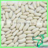 Promotion Price Long Type White Kidney Beans