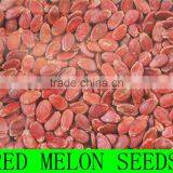 Seel Red /black Watermelon Seed in Low Price With Large Order thumbnail-1